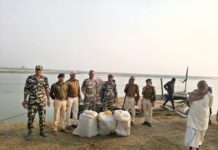 कुनौली से बड़ी कार्रवाई: नदी के बीचों-बीच छिपा 62 किलो गांजा बरामद