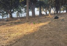 पर्यटन नगरी वाल्मीकि नगर में पर्यटक स्थलों पर,माघ मेले के बाद लगा कचरो अम्बार