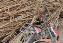 गन्ना लदी ट्रॉली पलटी, कोई हताहत नहीं, बाल बाल बच्चे राहगीर