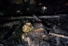 बगहा प्रखंड एक के कोटवा में शॉर्ट सर्किट से आग, फूस का घर जलकर स्वाहा।