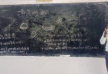 होली के नाम पर अश्लीलता, अभद्रता व फूहड़ता से बचें