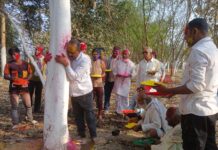 पर्यावरण प्रेमी गजेंद्र यादव ने पेड़ों के साथ मनाया होली मिलन समारोह