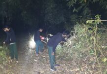 वन्यजीवों की सुरक्षा को लेकर वन विभाग सतर्क