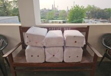 स्कॉर्पियो से 85 किलो गांजा बरामद, दो तस्कर गिरफ्तार