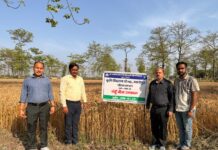 निदेशक बीज और प्रक्षेत्र ने कृषि केंद्र माधोपुर के बीज उत्पादन प्रक्षेत्र का किया निरीक्षण