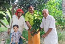 पृथ्वी की स्वस्थ सेहत के लिए पराली कत्तई न जलाएं -पं-भरत उपाध्याय