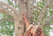 सुहागिनों ने अखंड सौभाग्य व पति के दीर्घायु जीवन के लिए किया वट सावित्री व्रत : आरती देवी