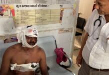 जंगल किनारे खेत पर गए किसान पर भालू ने किया हमला, किसान गंभीर रूप से हुआ जख्मी