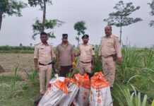 बगहा: 142.56 लीटर अंग्रेजी शराब के साथ दो गिरफ्तार