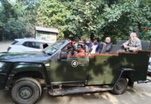 मोतिहारी और आरा से आए पर्यटकों को दिखा बाघ, बाघ देख पर्यटक हुए रोमांचित