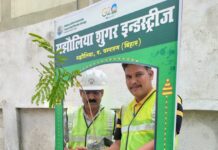 पर्यावरण दिवस पर मझौलिया शुगर मिल में लगाये गये दो सौ पौधे