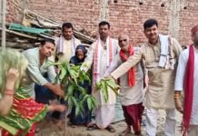 वृक्षों से हमें प्राणवायु प्राप्त होता है -आचार्य नीरज शांडिल्य