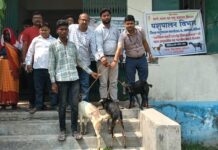 बगहा में समेकित बकरी एवं भेड़ विकास योजना के तहत हुआ वितरण कार्यक्रम