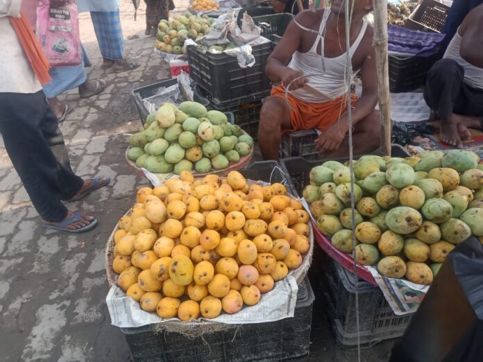 IMG-20260709-WA0019.jpg