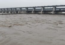 रुक रुक कर हो रही बारिश के कारण नारायणी नदी का जलस्तर में लगातार बढ़ोतरी