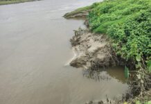 सिकरहना के बढ़ते कटाव से दहशत में ग्रामीणों ने किया तटबंधों की सुरक्षा की मांग।