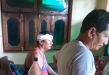 बाल्मीकि नगर में जंगली सूअर के लगातार हमले से ग्रामीणों में दहशत