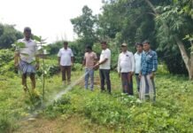 भावी मुखिया प्रत्याशी साजिद आलम ने कब्रिस्तान की कराई साफ सफाई, ग्रामीणों में हर्ष।