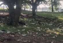 श्रावणी मेले के दौरान वाल्मीकि नगर में फैला कचरे का अंबार