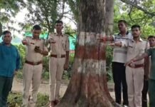 वन विभाग के कर्मियों ने पेड़ों को रक्षा सूत्र बांधकर उनकी सुरक्षा और संरक्षण का संकल्प लिया