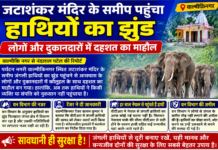 जटाशंकर मंदिर के समीप पहुंचा हाथियों का झुंड, लोगों और दुकानदारों में दहशत