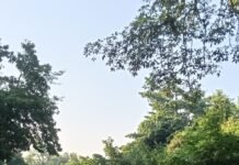 SSB कमांडेंट श्री तपेश्वर संबित राउत ने साइकिल पर किया सीमा का दौरा, फिट इंडिया – संडे ऑन साइकिल अभियान जारी