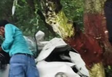 अनियंत्रित कार पेड़ से टकराई,चालक की मौके पर हुई मौत